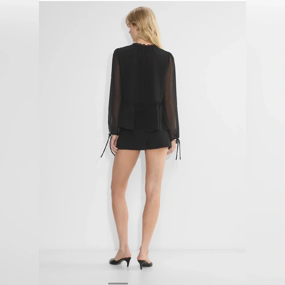 Aritzia Sheer Black Blouse - Picture 5 of 15